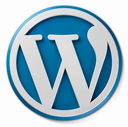 Wordpress skills